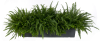 pv67