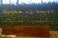 greenwall/hanging garden