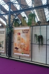 div hangende planten