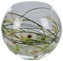 Tafel- en baliedecoratie